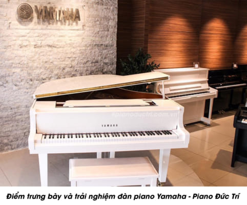 Âm thanh đàn piano Yamaha GP1k 