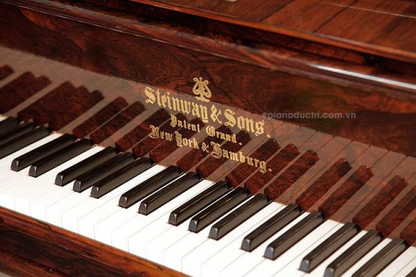 Bàn phím và logo của đàn piano steinway and sons D 1898