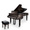 Đàn Piano steinway model D black diamond