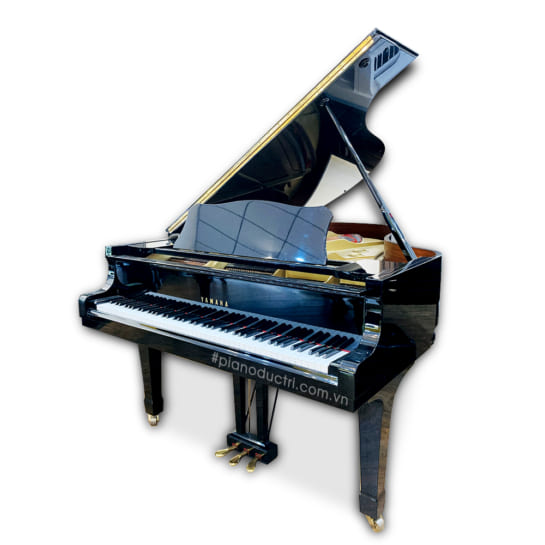 Đàn Grand Piano Yamaha C7