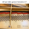 Số seri đàn grand piano yamaha